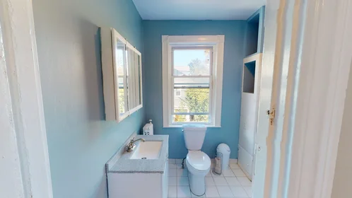 Habitación privada en #1233: Brighton Boston 02135, imagen 10 de 20