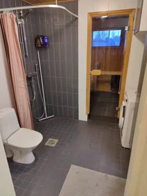Gesamte Unterkunft in der Seilitie, Oulu, bild 9 von 10