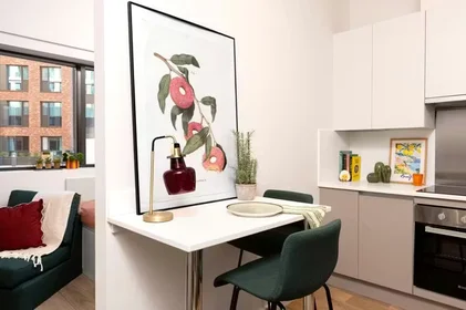 Özel oda konumu 59 Miller Street, Glasgow, G1 1EB, 26 34 görüntüsü
