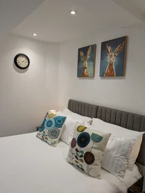 Gesamte Unterkunft in der Silvester House, Silvester Street, bild 3 von 39