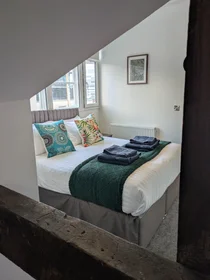 Gesamte Unterkunft in der Silvester House, Silvester Street, bild 21 von 39