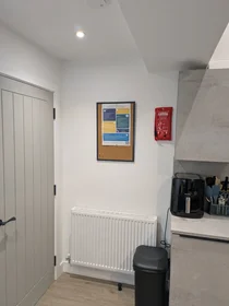 Gesamte Unterkunft in der Silvester House, Silvester Street, bild 23 von 39