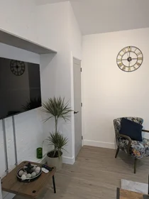 Gesamte Unterkunft in der Silvester House, Silvester Street, bild 34 von 39