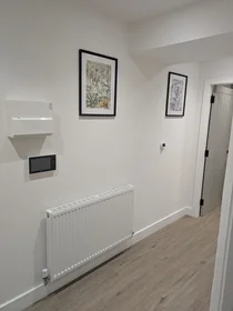 Gesamte Unterkunft in der Silvester House, Silvester Street, bild 38 von 39