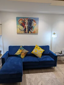 Gesamte Unterkunft in der Silvester House, Silvester Street, bild 7 von 39