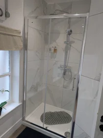 Gesamte Unterkunft in der Silvester House, Silvester Street, bild 10 von 39