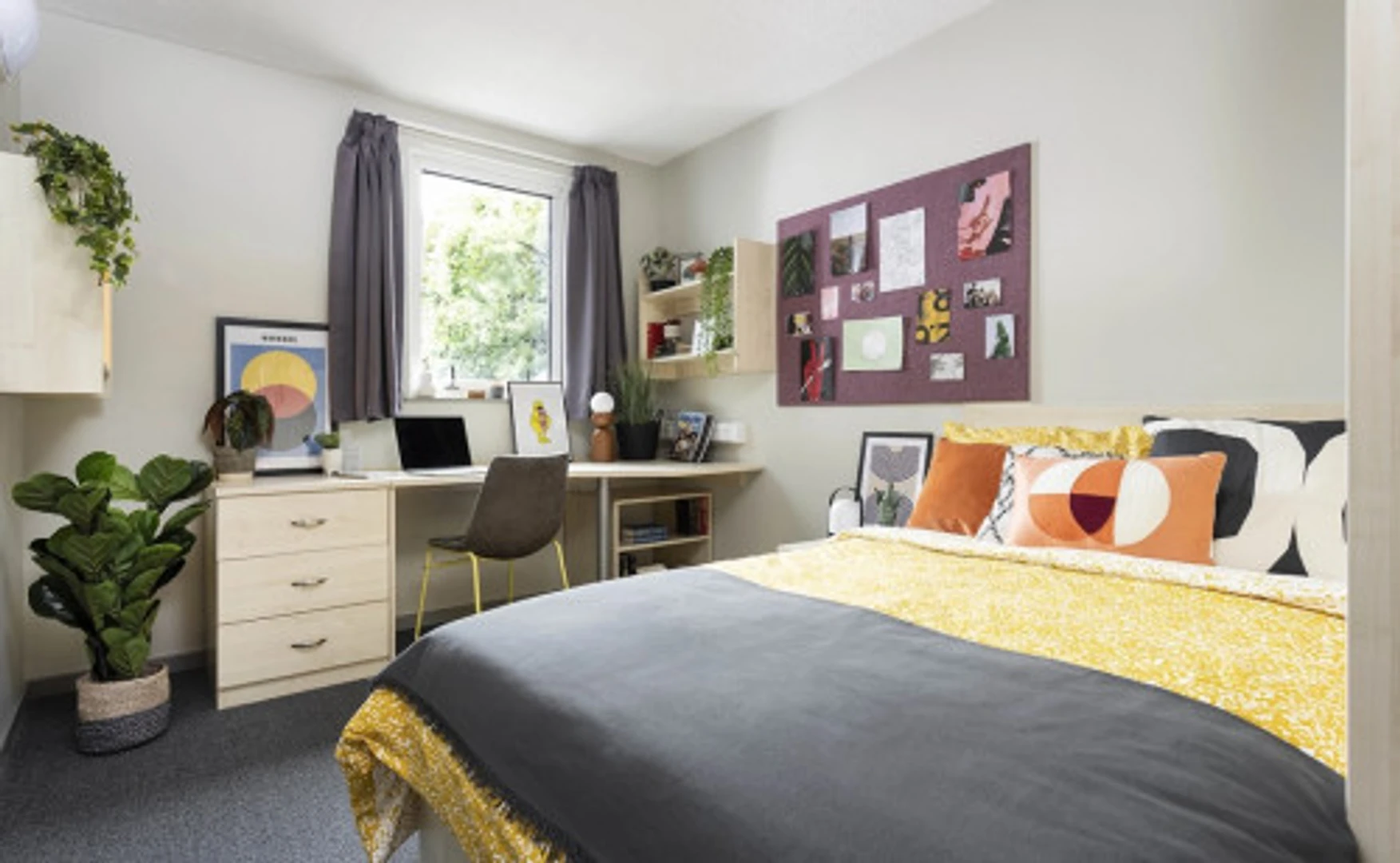 Student-friendly room in  with modern amenities