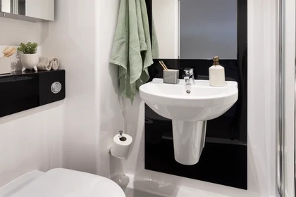 Chambre privée à Artisan Heights Manchester M1 5AA, image 7 de 20