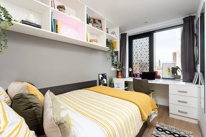 Chambre privée à Artisan Heights Manchester M1 5AA, image 8 de 20