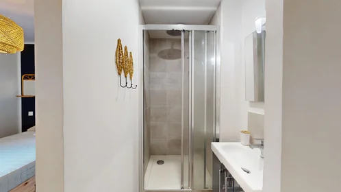 Prywatny pokój 358 Rue Louis Blanc, obraz 1 10