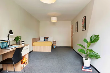 Bright private room in {area}