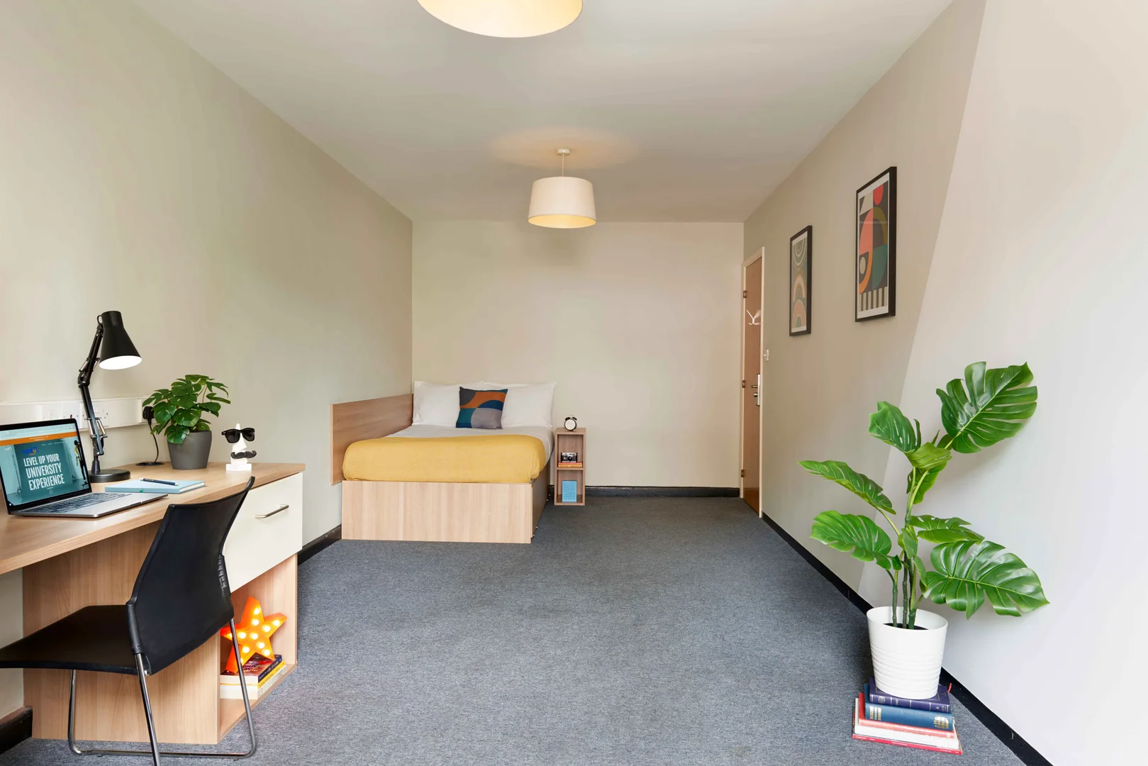 Budget-friendly student room close to campus in 