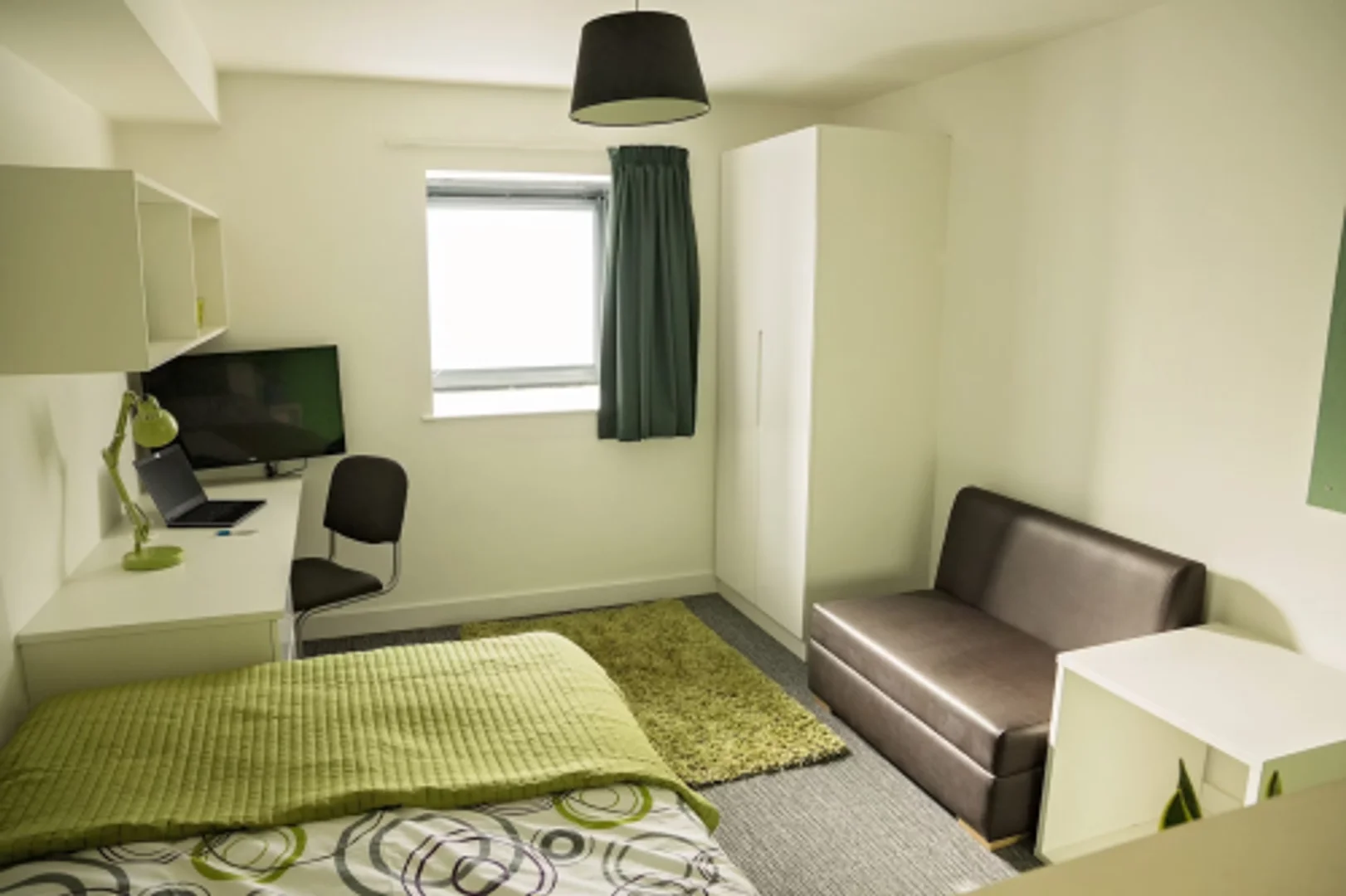 Affordable room for students with ample lighting in 