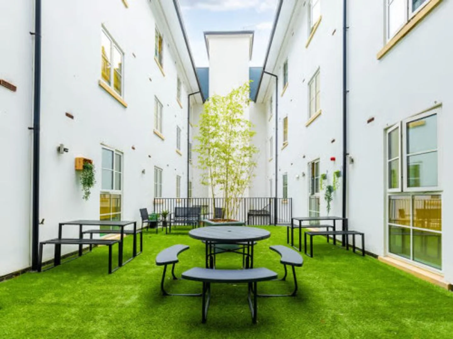 Habitación estudiantil económica cerca del campus en 