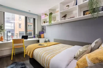 Private room at 4-14 Oldham St, Liverpool L1 2SU, United Kingdom, image 24 of 29
