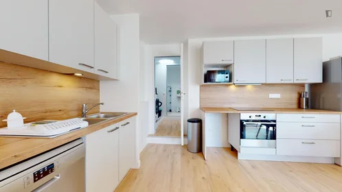 Privatzimmer in der rue Paul Bert, bild 15 von 18