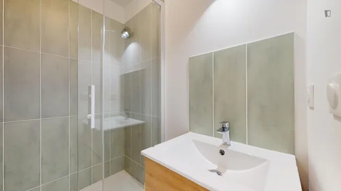 Privatzimmer in der rue Paul Bert, bild 18 von 18