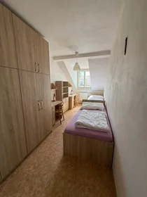 Privatzimmer in der Lublaňská 44, bild 12 von 16