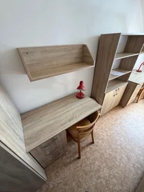 Privatzimmer in der Lublaňská 44, bild 13 von 16