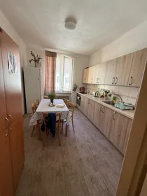 Privatzimmer in der Lublaňská 44, bild 14 von 16