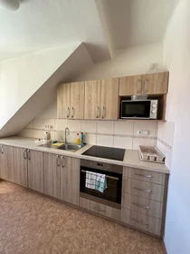 Privatzimmer in der Lublaňská 44, bild 15 von 16