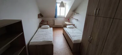 Privatzimmer in der Lublaňská 44, bild 3 von 16