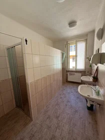 Privatzimmer in der Lublaňská 44, bild 9 von 16