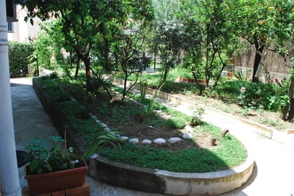 Dairenin tamamı konumu Tabacina, Marovina 12, 37 45 görüntüsü