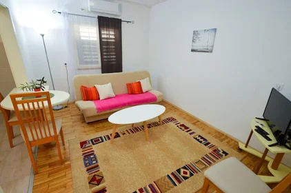 Entire apartment at Tabacina, Marovina 12, image 1 of 10