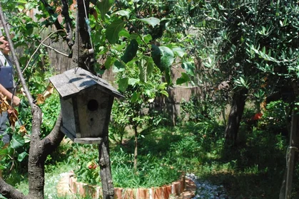 Dairenin tamamı konumu Tabacina, Marovina 12, 23 28 görüntüsü