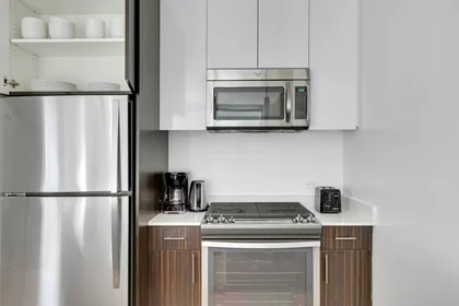 Alojamiento entero en North Garland Court, Chicago Loop, imagen 10 de 10