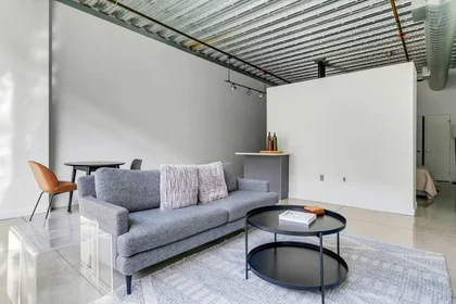 Entire apartment at Sidney Street, Cambridgeport, image 3 of 10