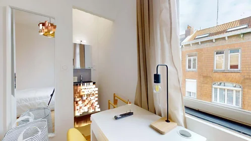 Prywatny pokój 37 Rue Virginie Ghesquière, 59000 Lille, France, obraz 5 20