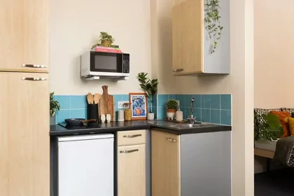 Habitación privada en 109 Cambridge Court, L7 7AG, imagen 14 de 45