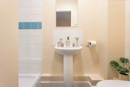 Habitación privada en 109 Cambridge Court, L7 7AG, imagen 19 de 45
