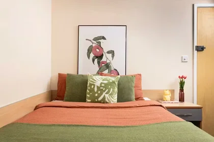 Habitación privada en 109 Cambridge Court, L7 7AG, imagen 22 de 45
