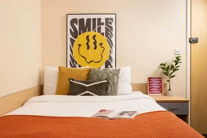 Habitación privada en 109 Cambridge Court, L7 7AG, imagen 24 de 45