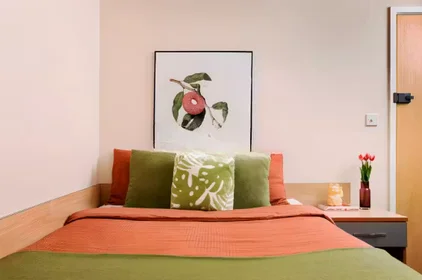 Habitación privada en 109 Cambridge Court, L7 7AG, imagen 34 de 45