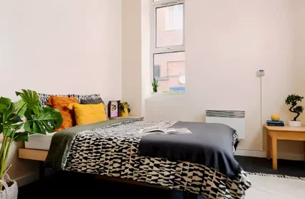 Habitación privada en 109 Cambridge Court, L7 7AG, imagen 35 de 45