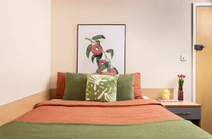 Habitación privada en 109 Cambridge Court, L7 7AG, imagen 37 de 45