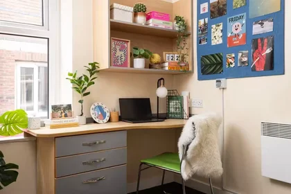 Habitación privada en 109 Cambridge Court, L7 7AG, imagen 43 de 45