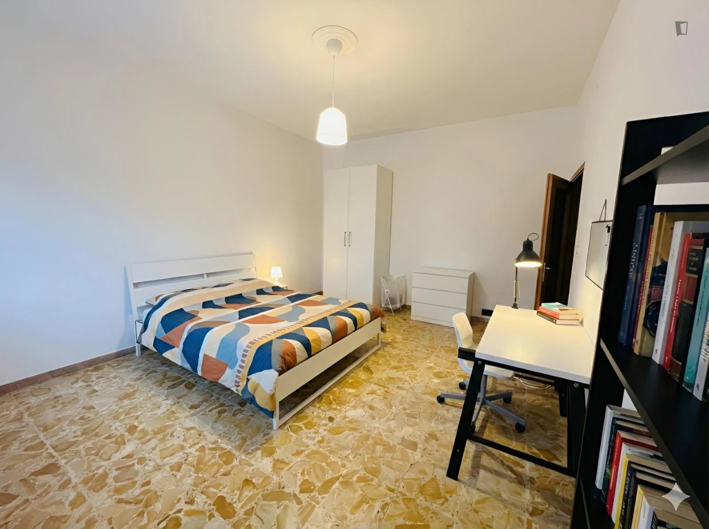 Affordable room for students with ample lighting in 