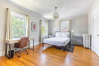 Stanza privata in #1341: Brighton Boston 02135, immagine 6 di 20