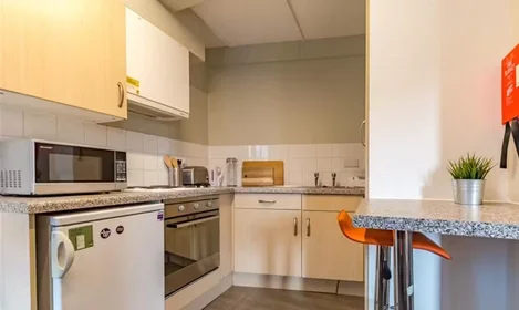 Privatzimmer in der St Thomas Court, 20 Gasking Street Plymouth PL4 9AP, bild 14 von 14