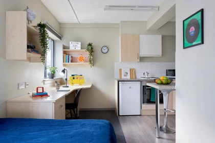 Privatzimmer in der St Thomas Court, 20 Gasking Street Plymouth PL4 9AP, bild 3 von 14