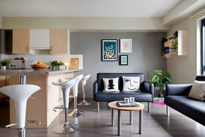 Privatzimmer in der St Thomas Court, 20 Gasking Street Plymouth PL4 9AP, bild 4 von 14