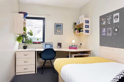 Privatzimmer in der St Thomas Court, 20 Gasking Street Plymouth PL4 9AP, bild 9 von 14