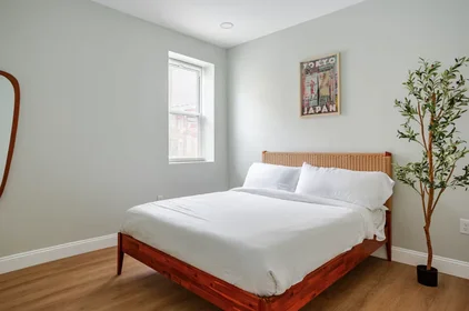 Logement entier à South 9th Street 1816, image 14 de 25