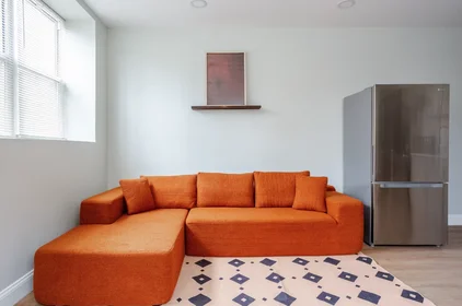 Logement entier à South 9th Street 1816, image 4 de 25