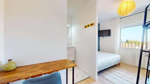 Quarto privado em Cr Gambetta, 33400 Talence, France, imagem 7 de 19